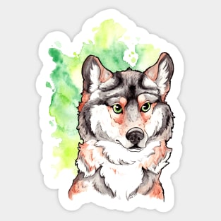 Mexican Gray Wolf Sticker